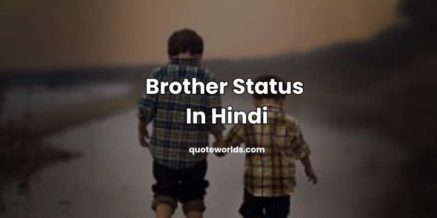 Brother Status In Hindi